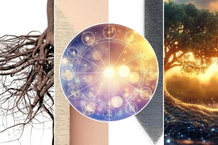 A collage of tree branches with overlaid text about a TikTok astrologer explaining the four most important points in a birth chart